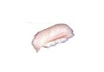 12S. Hvidfisk Nigiri